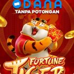 Link Slot Depo Dana Tanpa Potongan: Deposit Minimal Rp10.000 untuk Pemain Slot dengan Budget Terbatas